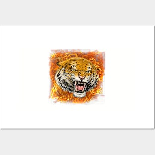 tiger fire Posters and Art